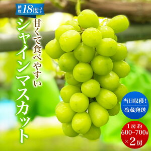 yӂ邳Ɣ[Łzs\ ÂHׂ₷ VC}XJbg 2[i1[ 600`700gjo׎F2025N9{`10{끄ʌ Ԍ ʕ t[c Ԃǂ uhE }XJbg@