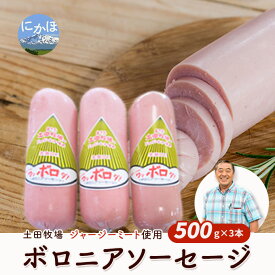 【ふるさと納税】生食OK！ジャージーミート使用 ボロニアソーセージ500g×3本　 加工品 お弁当 夕飯 朝食 おかず つまみ お酒のあて ジャージー牛肉 豚肉 特製ソーセージ 肉の加工品 炒め物 ソテー