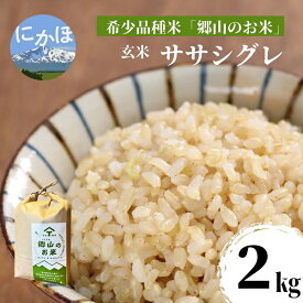 【ふるさと納税】【希少品種米】ササニシキの親　農薬不使用のササシグレ「郷山のお米」2kg（玄米）　【お米】