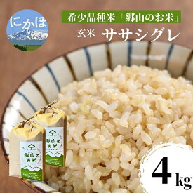 【ふるさと納税】【希少品種米】ササニシキの親　農薬不使用のササシグレ「郷山のお米」4kg（2kg×2袋）（玄米）　【お米】