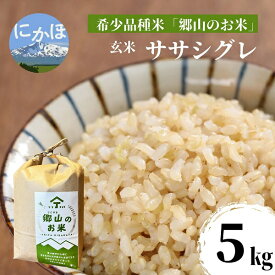 【ふるさと納税】【希少品種米】ササニシキの親　農薬不使用のササシグレ「郷山のお米」5kg（玄米）　【お米】