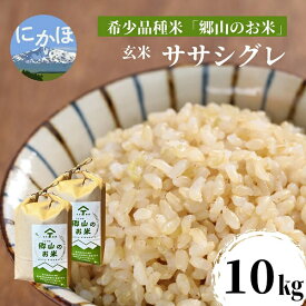 【ふるさと納税】【希少品種米】ササニシキの親　農薬不使用のササシグレ「郷山のお米」10kg（5kg×2袋）（玄米）　【お米】