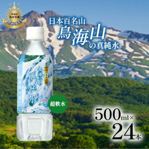 yӂ邳Ɣ[Łz{SR CR̐^ 500ml×24{ VR  N Hc ɂَs ̐@͂FmFA2TԂ1xł͂܂B