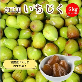 【ふるさと納税】期間限定 加工用 生いちじく 6kg（2kg×3) 秋田県にかほ市産 北限のいちじく ブルンスウィッグ　 加工用イチジク 新鮮果実 甘露煮作り ジャム作り 　お届け：2026年9月中旬～10月下旬