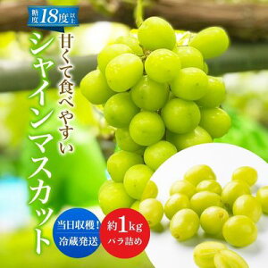yӂ邳Ɣ[Łzs\ ÂHׂ₷ VC}XJbg  ol 1kgo׎F2025N9{`10{끄ʌ Ԍ ʕ t[c Ԃǂ uhE }XJbg@