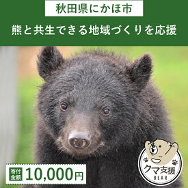 【ふるさと納税】《クマといい距離プロジェクト》寄附のみ10,000円　【チケット】