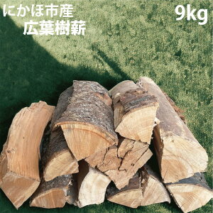 yӂ邳Ɣ[ŁzHcɂَsY d 30cm Lt(TNj9kg LvEdXg[up@ɂَs