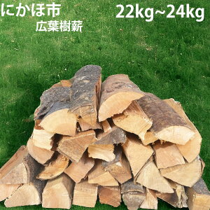 yӂ邳Ɣ[ŁzHcɂَsY d 30cm Lt(TNj22`24kg LvEdXg[up@ɂَs