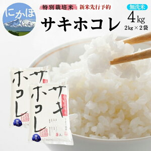 yӂ邳Ɣ[ŁzVė\ yāzʍ͔|ăTLzR4kgi2kg×2j ߘa7NY Hc ɂَs   ߁@͂F2025N10{菇\łB