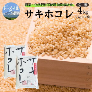 yӂ邳Ɣ[ŁzVė\ ͔|Ԓ _Ew엿sgpyāzʍ͔|ăTLzR4kgi2kg×2j ߘa7NY Hc ɂَs   ߁@͂F2025N11{菇\