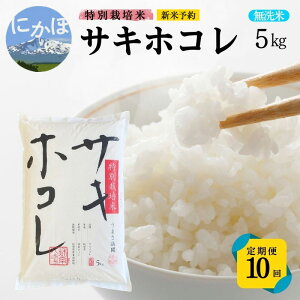 yӂ邳Ɣ[ŁzVė\ 10ցyāzʍ͔|ăTLzR5kg×10 v50kg ߘa7NY Hc ɂَs   ߁@͂F1/ߘa7N10{`11{2ڈȍ~/