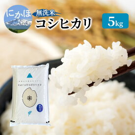 【ふるさと納税】米 無洗米 令和7年産 コシヒカリ 5kg×1 秋田県 にかほ市 お米 こめ　お届け：2026年1月9日～2026年9月10日