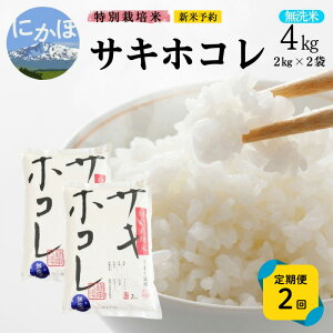 yӂ邳Ɣ[ŁzVė\ s2tyāzʍ͔|ăTLzR4kg×2 v8kg ߘa7NY Hc ɂَs   ߁@͂F1/ߘa7N10{`11{2ڈȍ~/