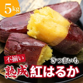 【ふるさと納税】にかほ市 象潟町 大須郷産「 さつまいも 2ヶ月 熟成 紅はるか 不揃い 5kg 」【 産地直送 国産 芋 おいも 定番 焼き芋 イモ 野菜 不揃い 長期熟成 秋田県 にかほ】　お届け：2025年12月上旬〜2026年3月末まで
