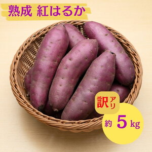 �y�ӂ邳�Ɣ[�Łz�ɂ��َs �ۊ��� ��{���Y�u ���܂��� 2���� �n�� �g�͂邩 �s���� 5kg �v�y �Y�n���� ���Y �� ������ ��� �Ă��� �C�� ��� �s���� �����n�� �H�c�� �ɂ��فz�@���͂��F202