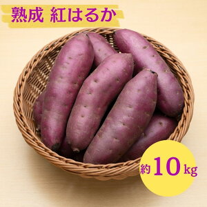 �y�ӂ邳�Ɣ[�Łz�ɂ��َs �ۊ��� ��{���Y�u ���܂��� 2���� �n�� �g�͂邩 10kg �v�y �Y�n���� ���Y �� ������ ��� �Ă��� �C�� ��� �����n�� �H�c�� �ɂ��فz�@���͂��F2025�N12����{�`2