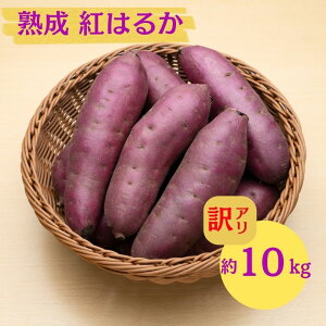 �y�ӂ邳�Ɣ[�Łz�ɂ��َs �ۊ��� ��{���Y�u ���܂��� 2���� �n�� �g�͂邩 �s���� 10kg �v�y �Y�n���� ���Y �� ������ ��� �Ă��� �C�� ��� �s���� �����n�� �H�c�� �ɂ��فz�@���͂��F20