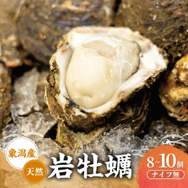【ふるさと納税】【先行予約 7月上旬～下旬発送予定】にかほ市産 岩牡蠣 8～10個 ナイフ無【牡蠣 夏牡蠣 かき 象潟 魚介類 海鮮　海産物 海の幸】　　お届け：2026年7月1日～2026年8月10日※状況によって希望通りお届けできない場合もあります。