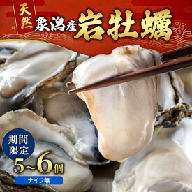 【ふるさと納税】【先行予約 7月上旬～下旬発送予定】にかほ市産 岩牡蠣 5～6個 ナイフ無【牡蠣 夏牡蠣 かき 象潟 魚介類 加熱用 海鮮 海産物 海の幸】　