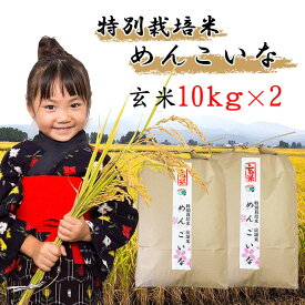 楽天市場 ふるさと納税 お米 kgの通販