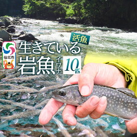 【ふるさと納税】生きている岩魚（イワナ）10匹 酸素を入れて袋詰め【発送可能エリア：東北・関東・信越】長四郎