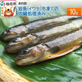 【ふるさと納税】岩魚（イワナ）冷凍10匹　内臓処理済み　10匹