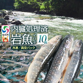 【ふるさと納税】岩魚（イワナ）冷凍 内臓処理済み 10匹 長四郎