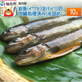 【ふるさと納税】岩魚（イワナ）活け〆10匹　内臓処理済み（氷詰め）　10匹