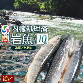 【ふるさと納税】岩魚（イワナ）活け〆 内臓処理済み 氷詰め 10匹 長四郎