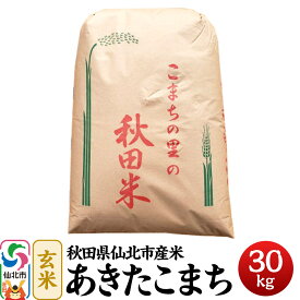 【ふるさと納税】【一等米】秋田県仙北市産米 令和7年産 あきたこまち 玄米 30kg＜藤村本店＞30キロ [食味ランキング 特A 通算22回 産地 秋田県 仙北市 産米 お米]