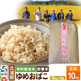 【ふるさと納税】【特別栽培米 炭壌米 ゆめおばこ】令和5年産 玄米 10kg