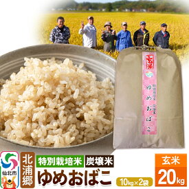 【ふるさと納税】【特別栽培米 炭壌米 ゆめおばこ】令和5年産 玄米 10kg 2袋