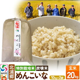 【ふるさと納税】【特別栽培米 炭壌米 めんこいな】令和5年産 玄米 10kg 2袋