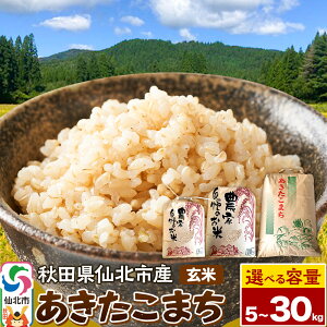 yӂ邳Ɣ[Łzyāzߘa7NY ܂yIׂe5kg^10kg^30kgz   Hc ksY