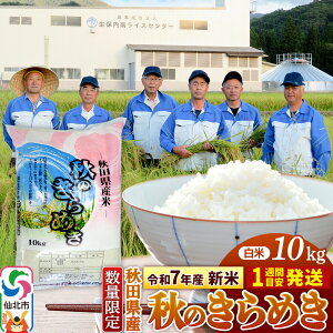 【ふるさと納税】<令和7年産 新米>【白米】秋のきらめき 10kg(10kg×1袋)精米 秋田県 仙北市産 10キロ