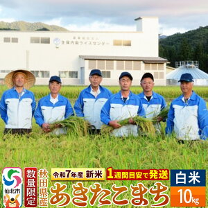【ふるさと納税】<令和7年産 新米>【白米】あきたこまち 10kg(10kg×1袋)精米 秋田県仙北市産 10キロ