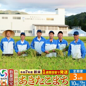 【ふるさと納税】＜令和7年産 新米＞《定期便3ヶ月》【白米】あきたこまち 10kg（10kg×1袋）×3回 精米 秋田県仙北市産 10キロ