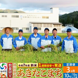 【ふるさと納税】<令和7年産 新米>《定期便3ヶ月》【白米】あきたこまち 10kg(10kg×1袋)×3回 精米 秋田県仙北市産 10キロ