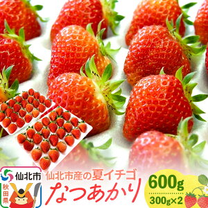 yӂ邳Ɣ[Łzs7`11tksỶăC`S Ȃ 600gi300g×2j