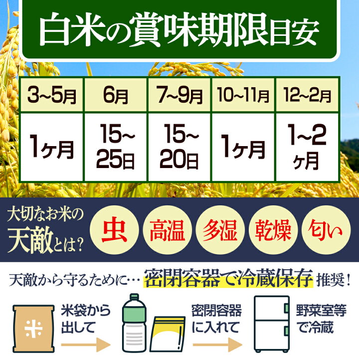 楽天市場】【ふるさと納税】【白米／玄米／無洗米】※R7／R8新米予約 