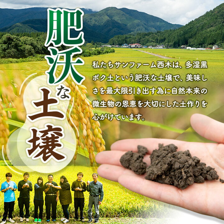 仙北市 🎋 【玄米】令和7年産 新米 【グルテンフリー】 早期受付《定期便4ヶ月》あきたこまち25kg|02_snk-020904s