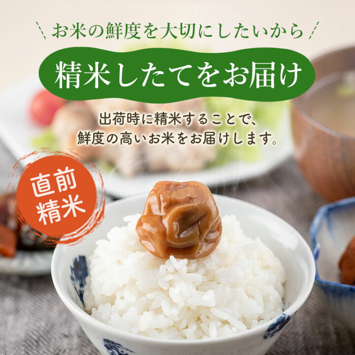 楽天市場】【ふるさと納税】【白米／玄米／無洗米】※R7／R8新米予約 