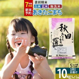 【ふるさと納税】【白米／玄米／無洗米】※R7新米予約※ 秋田県産 あきたこまち 10kg (5kg×2袋) 令和7年産 10キロ お米 新米