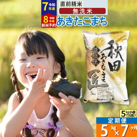 【ふるさと納税】【無洗米】※R7／R8新米予約※《定期便7ヶ月》秋田県産 あきたこまち 5kg (5kg×1袋) ×7回 令和7年産 令和8年産 お米 匠
