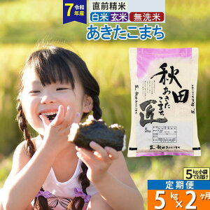 【ふるさと納税】【白米/玄米/無洗米】※R7※《定期便2ヶ月》秋田県産 あきたこまち 匠 5kg (5kg×1袋)×2回 令和7年産 お米
