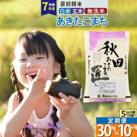 【ふるさと納税】【白米／玄米／無洗米】※R7※《定期便10ヶ月》秋田県産 あきたこまち 30kg (5kg×6袋)×10回 令和7年産 お米 匠