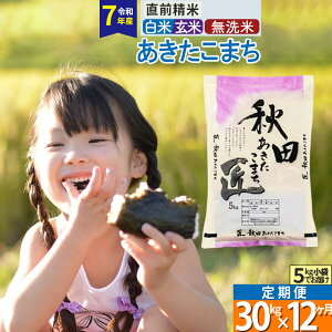 【ふるさと納税】【白米/玄米/無洗米】※R7※《定期便12ヶ月》秋田県産 あきたこまち 匠 30kg (5kg×6袋)×12回 令和7年産 お米