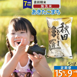 【ふるさと納税】【無洗米】※R7※《定期便9ヶ月》秋田県産 あきたこまち 匠 15kg (5kg×3袋) ×9回 令和7年産 お米
