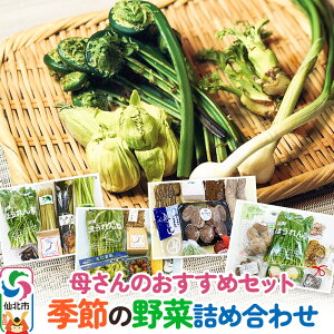 【ふるさと納税】《11月下旬配送》母さんのおすすめセット〜季節の野菜詰め合わせ〜
