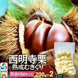 【ふるさと納税】西明寺栗 熟成むきぐり 訳ありMサイズ(割れ等含む)200g×2 計400g